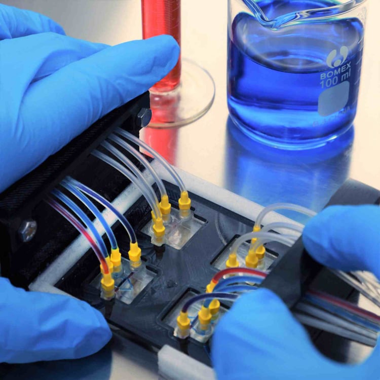 Gloved technician's hands hold microfluidics chips within a frame for testing in a lab