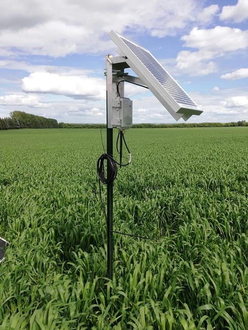 Soil moisture probe in a field