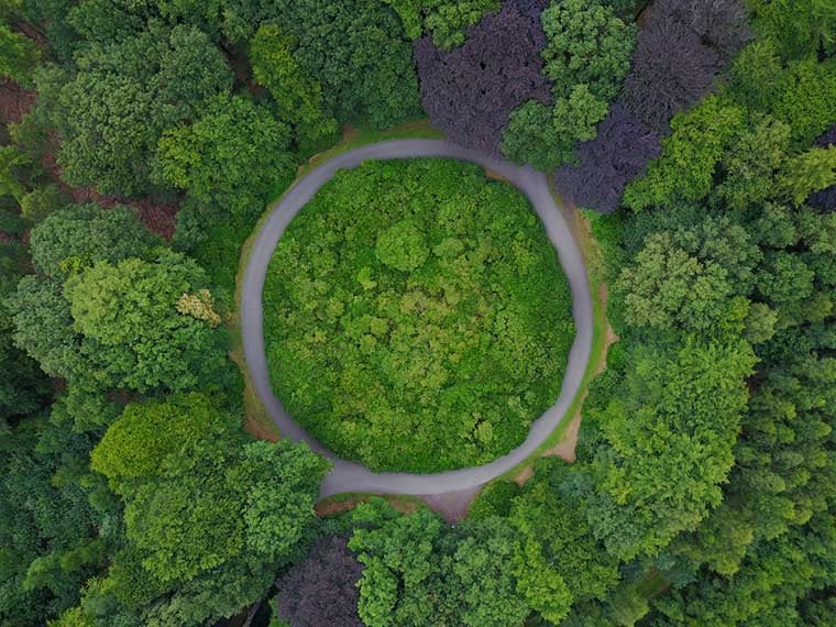 Roundabout in the middle of a forest