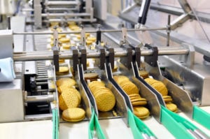 Conveyor belt with biscuits