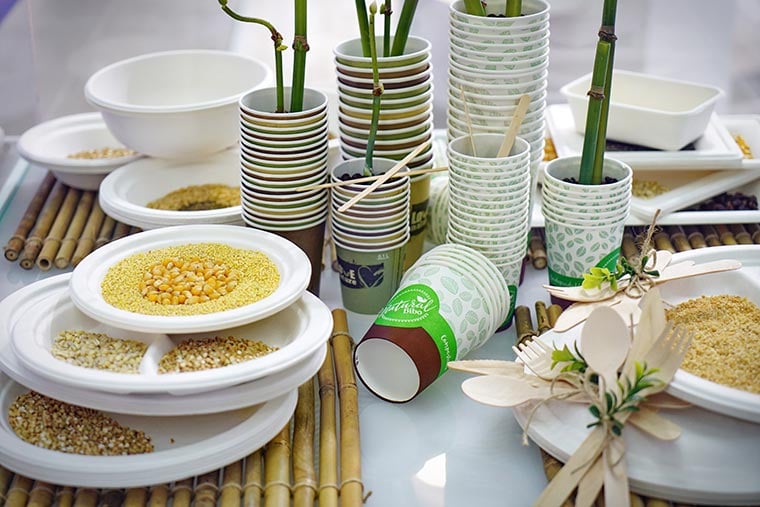 Sustainable food packaging featuring paper cups and paper plates made from bamboo