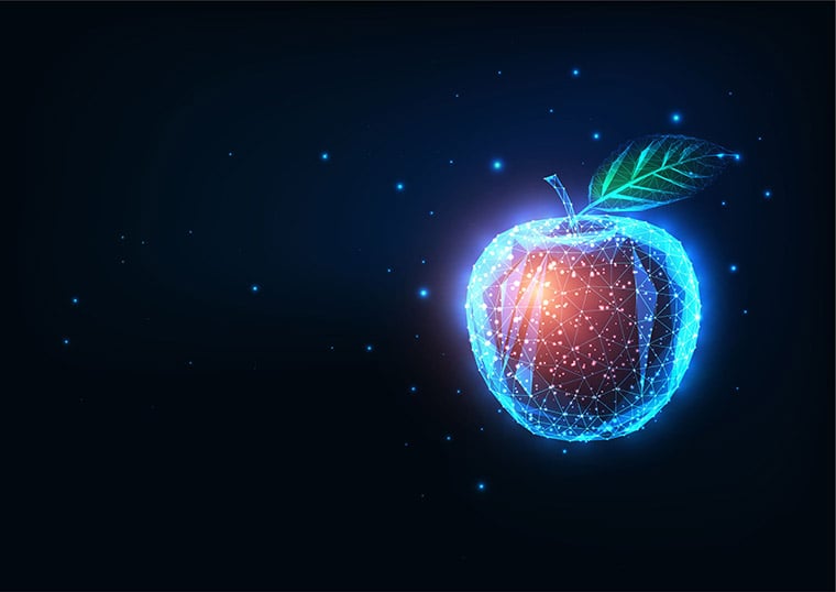 The Innovation Apple: balancing technology & market needs throughout the innovation process